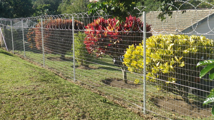 Mesh Fencing Durban | Clear Vu Fencing Durban | Palisade Fencing Durban